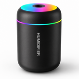 MiniMist Humidifier